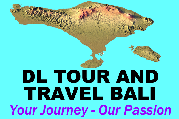 D L Tour and Travel Logo