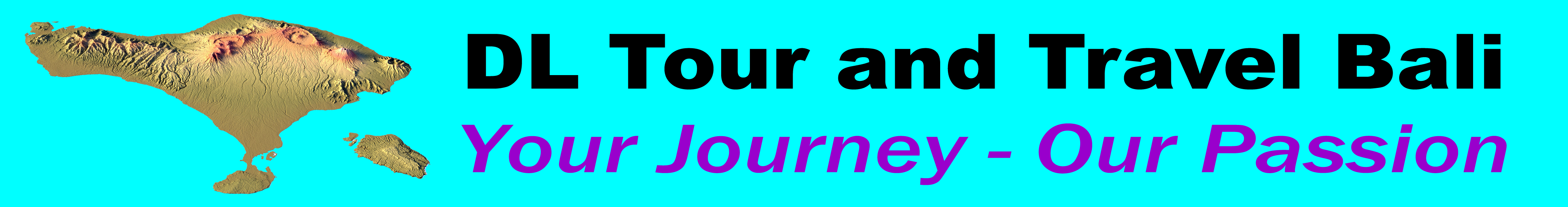 D L Bali Tour and Travel