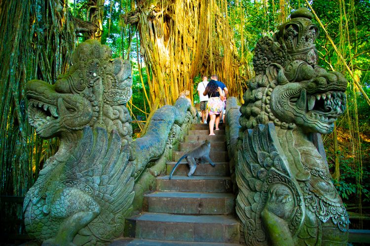 Ubud Monkey Forest 03
