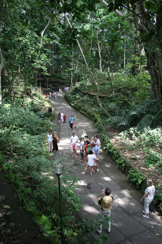 Ubud Monkey Forest 02