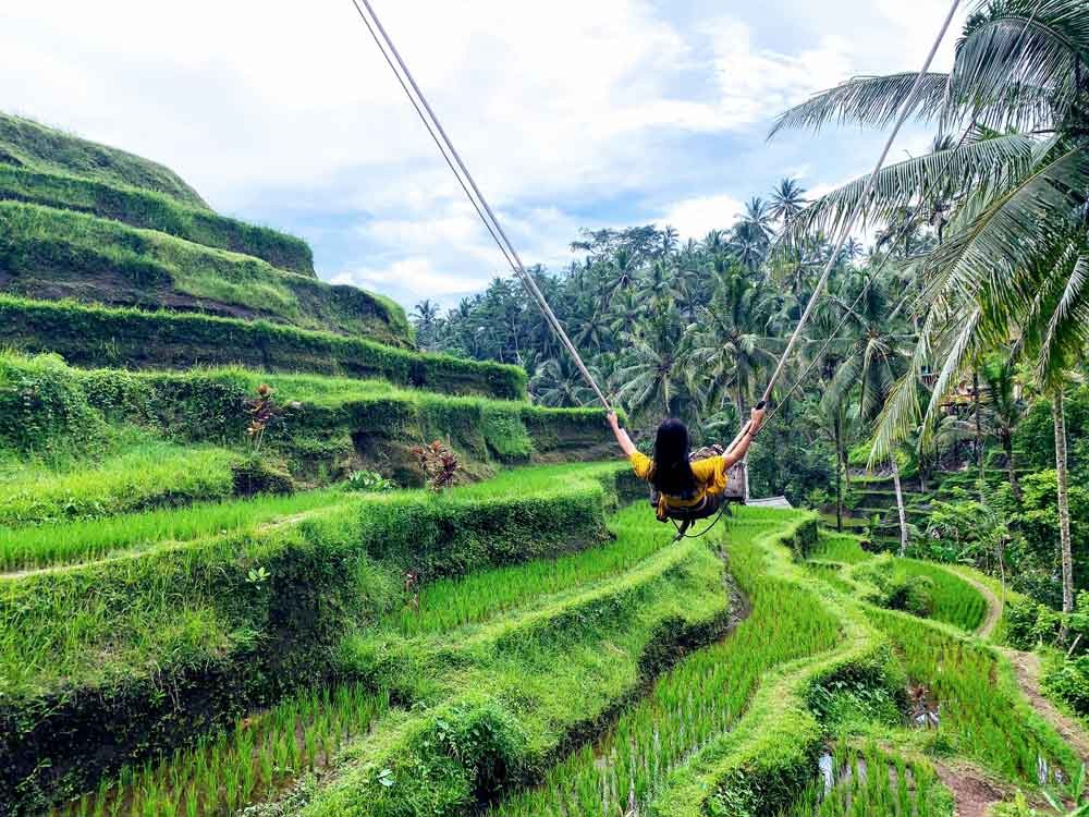 Tegalalang Rice Terraces 02
